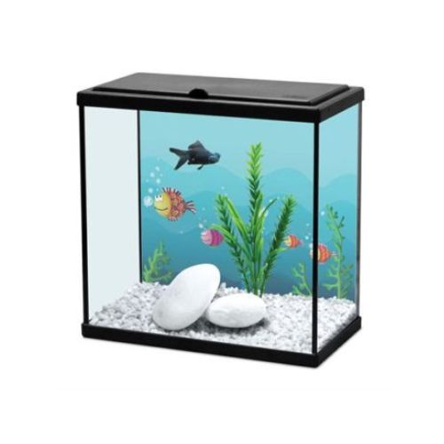 אקוואריום 30 ס”מ AVC