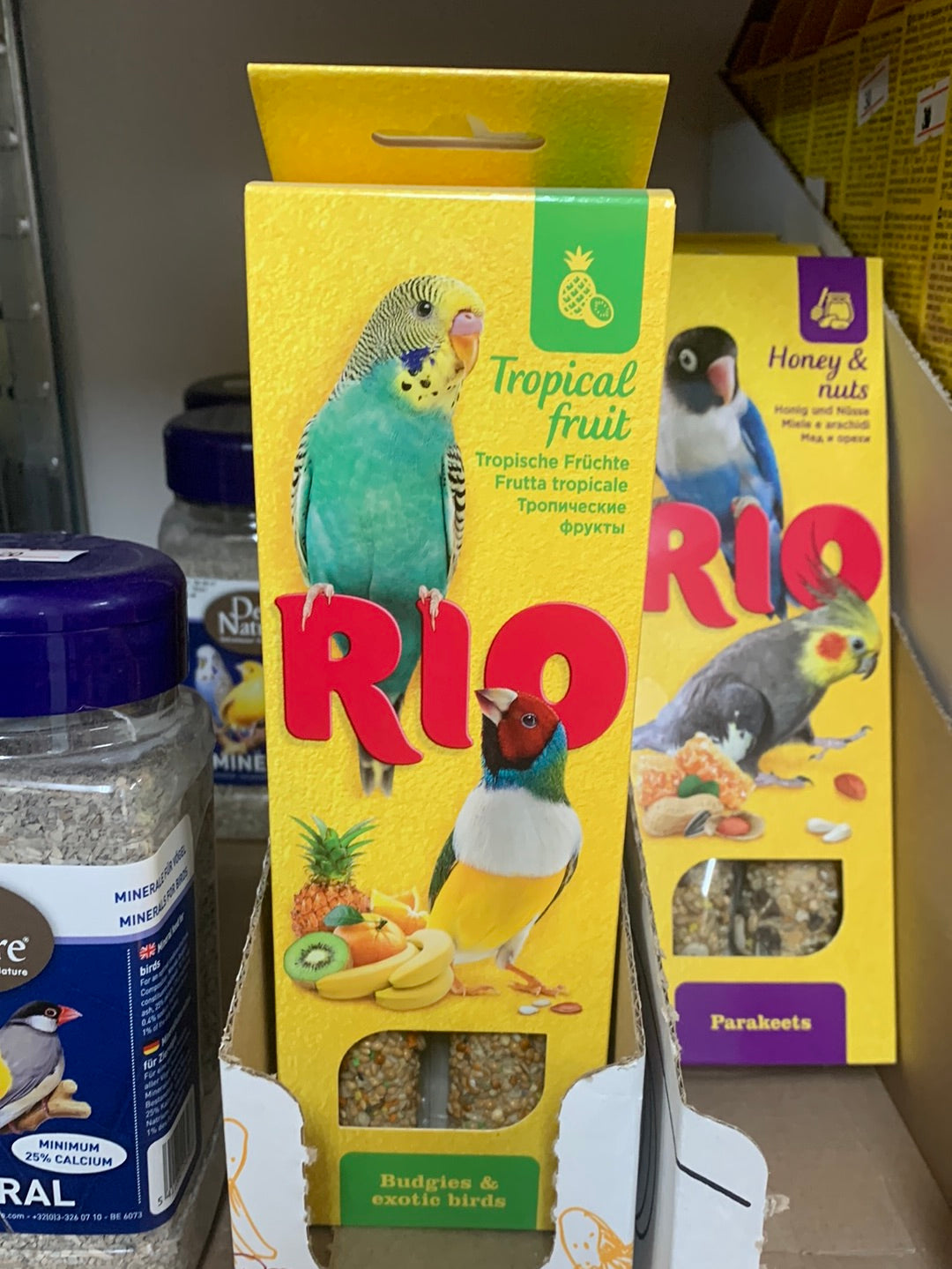 ציפורים אקזוטיים - ריו דבש מזון 